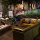 Gallery image 8