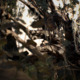 Gallery image 20