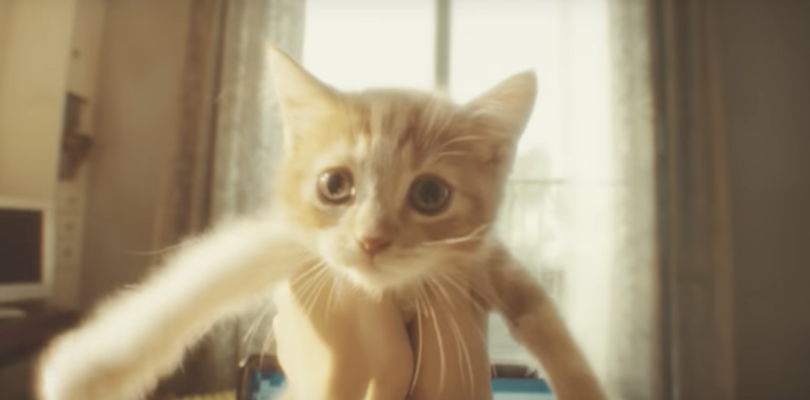This Japanese Gravity Rush 2 Commercial Stars a Mischievous Kitten