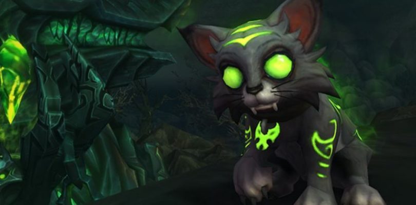 Special WoW Pet And Toy Sales Raise $2.5 Million For Make-A-Wish